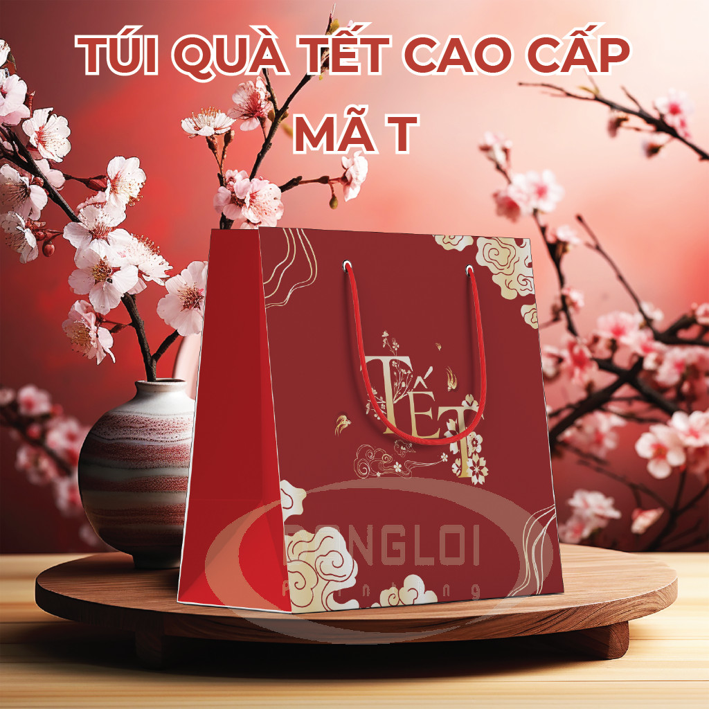 Mẫu Túi Giấy Tết