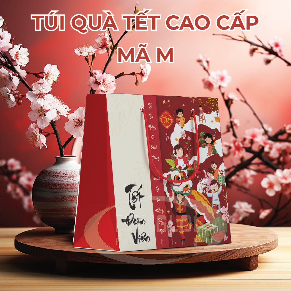 Mẫu Túi Giấy Tết