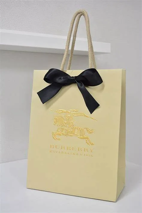 20+ Mẫu Thiết Kế Túi Giấy – Nghệ Thuật Tạo Dấu Ấn Thương Hiệu 5 11 Thiết Kế Túi Giấy