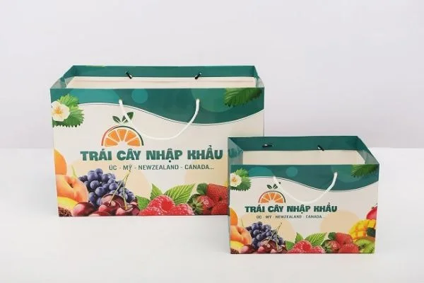 20+ Mẫu Túi Giấy Đựng Hoa Quả: Lựa Chọn Tinh Tế Và Bền Vững Cho Cuộc Sống Hiện Đại 4 Mau Tui Giay Dung Hoa Qua 1 20+ Mẫu Túi Giấy Đựng Hoa Quả: Lựa Chọn Tinh Tế Và Bền Vững Cho Cuộc Sống Hiện Đại | In Đồng Lợi | 4