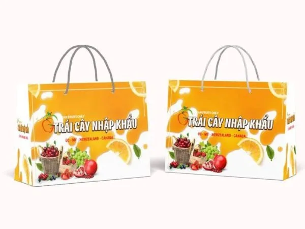 20+ Mẫu Túi Giấy Đựng Hoa Quả: Lựa Chọn Tinh Tế Và Bền Vững Cho Cuộc Sống Hiện Đại 14 Mau Tui Giay Dung Hoa Qua 14 Mẫu Túi Giấy Đựng Hoa Quả
