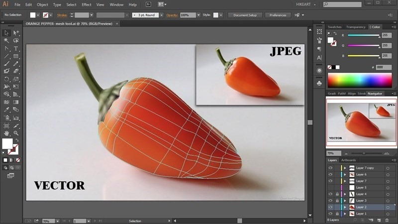 Giao Diện Phần Mềm Thiết Kế Adobe Illustrator