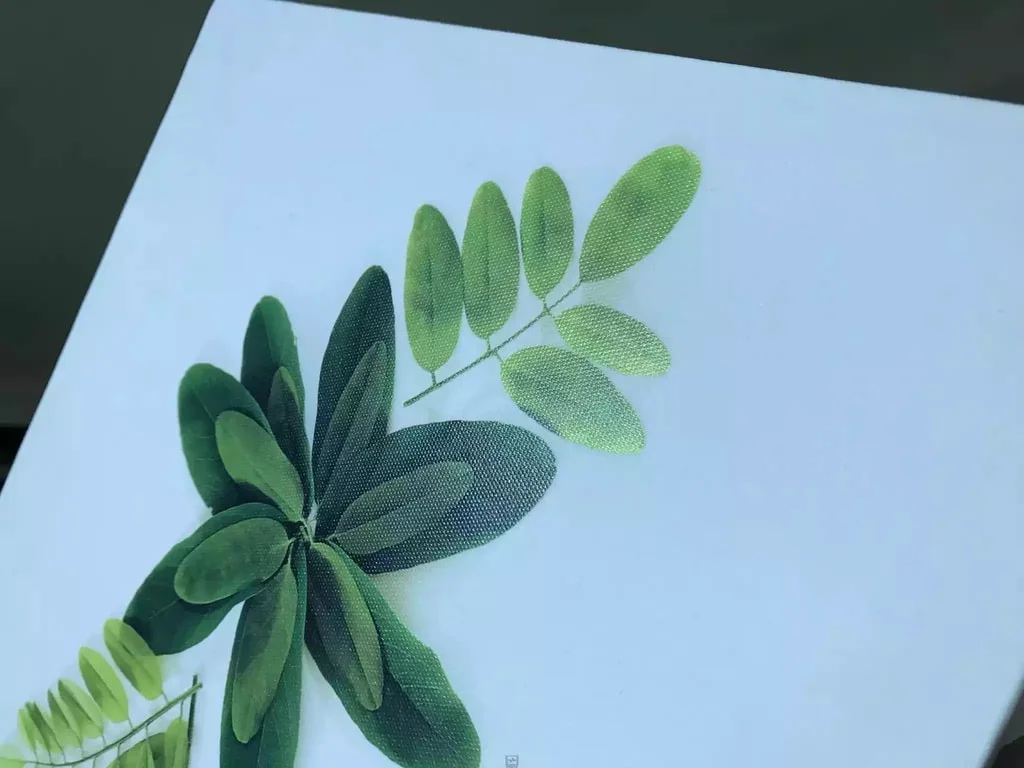 Nên Chọn Ảnh Ép Gỗ Laminate Hay Ảnh Canvas