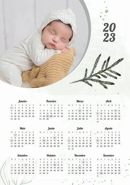 Tổng Hợp Mẫu In Ảnh Lịch Cho Bé &Quot;Hot Trend&Quot; 2026 | In Đồng Lợi | 2