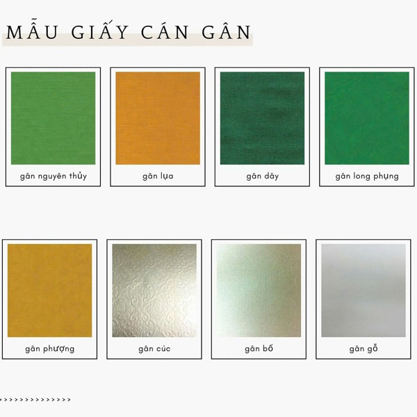 Kỹ Thuật Cán Gân Trong In Ấn: 8 Điều &Quot;Vàng&Quot; Bạn Cần Biết Để Nâng Tầm Ấn Phẩm | In Đồng Lợi | 4