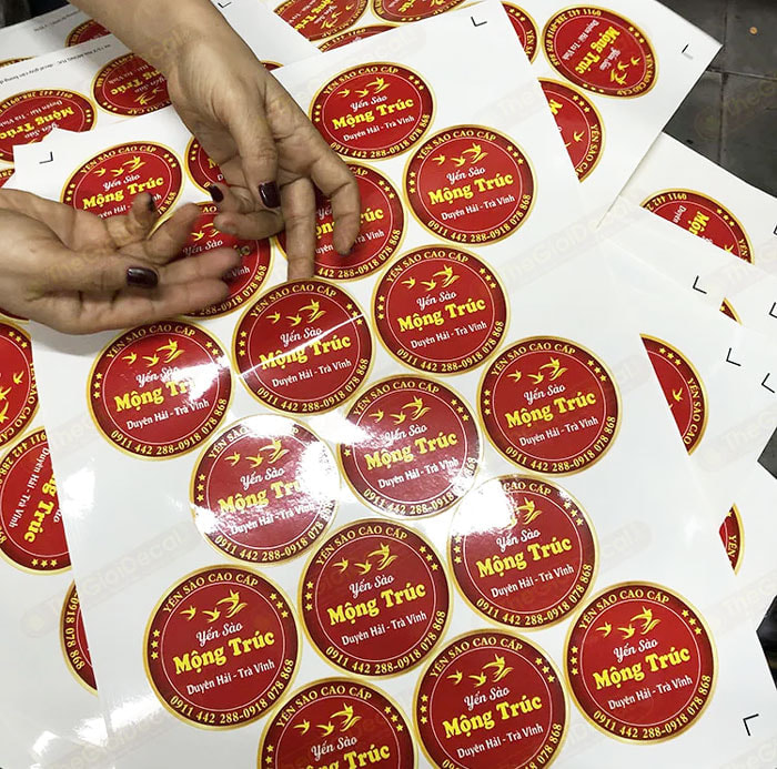 5 Khác Biệt Giữa Tem Epoxy Và Tem Decal Thường Bạn Cần Biết | In Đồng Lợi | 10