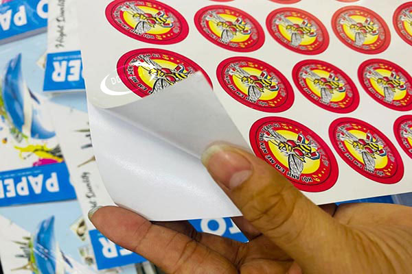 Giấy Pp Là Gì? Phân Loại, Ưu Và Nhược Điểm | In Đồng Lợi | 14