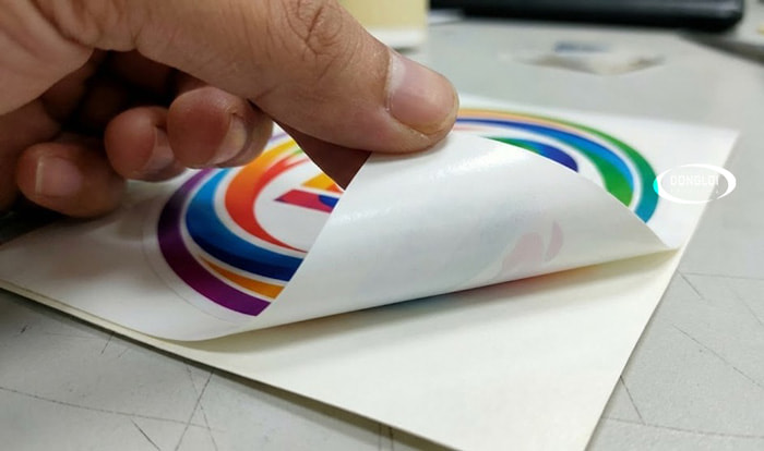 Tất Tật Về Decal Nhựa Sữa: Đặc Điểm Và Ứng Dụng Thực Tế | In Đồng Lợi | 11