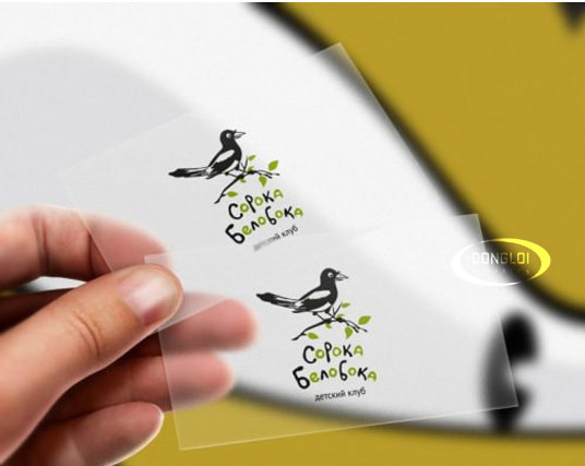 Decal Nhựa Trong Là Gì? Giải Đáp Thắc Mắc Khi Sử Dụng | In Đồng Lợi | 13
