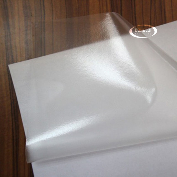 Decal Nhựa Trong Là Gì? Giải Đáp Thắc Mắc Khi Sử Dụng | In Đồng Lợi | 1