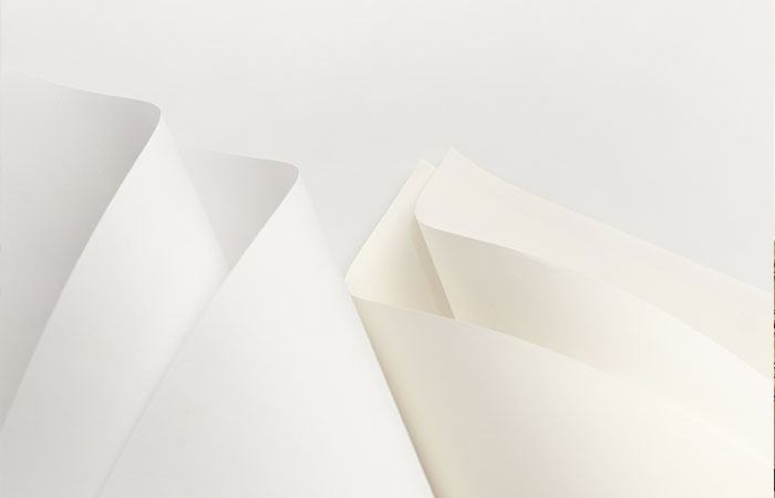 Giấy Ivory Là Gì? Ưu Điểm Và Nhược Điểm Của Giấy Ivory 2 Anh Giay Ivory