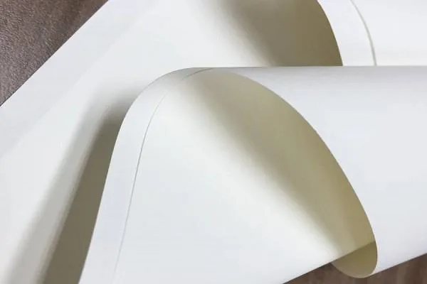 Bề mặt giấy Ivory láng mịn