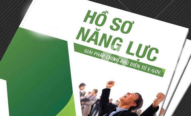 In Hồ Sơ Năng Lực 16 In Hồ Sơ Năng Lực Giá Rẻ