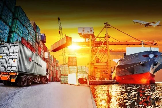 Cách Thiết Kế Hồ Sơ Năng Lực Công Ty Hiệu Quả | In Đồng Lợi | 27