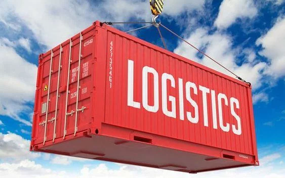 Cách Thiết Kế Hồ Sơ Năng Lực Công Ty Hiệu Quả | In Đồng Lợi | 25