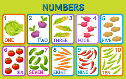 In Flashcard 29 Mau In Flashcard 04 Dịch Vụ In Flashcard, Thẻ Học Tập, Thẻ Ghi Nhớ